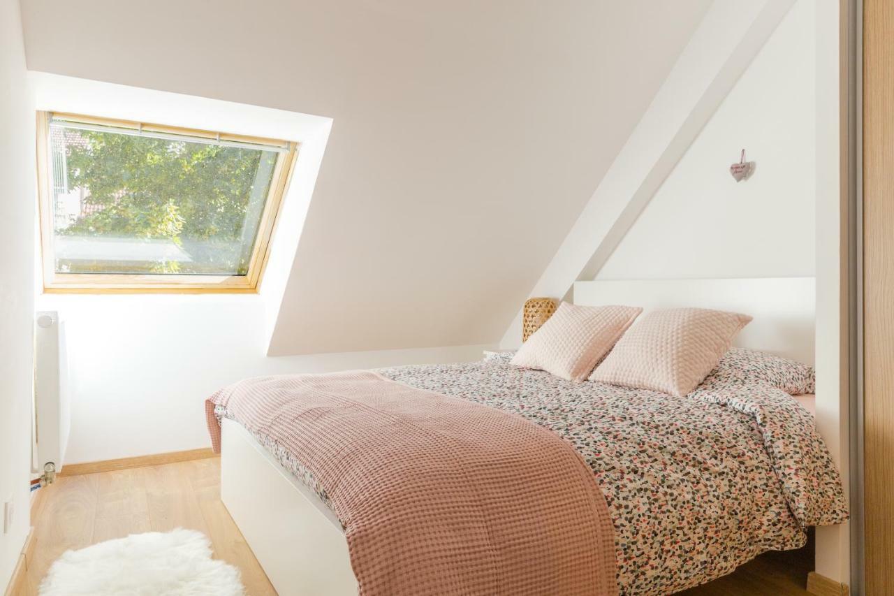 Appartement De Standing 8 Personnes Centre Historique De Colmar Exterior photo